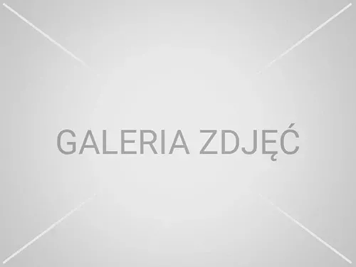 galeria-2